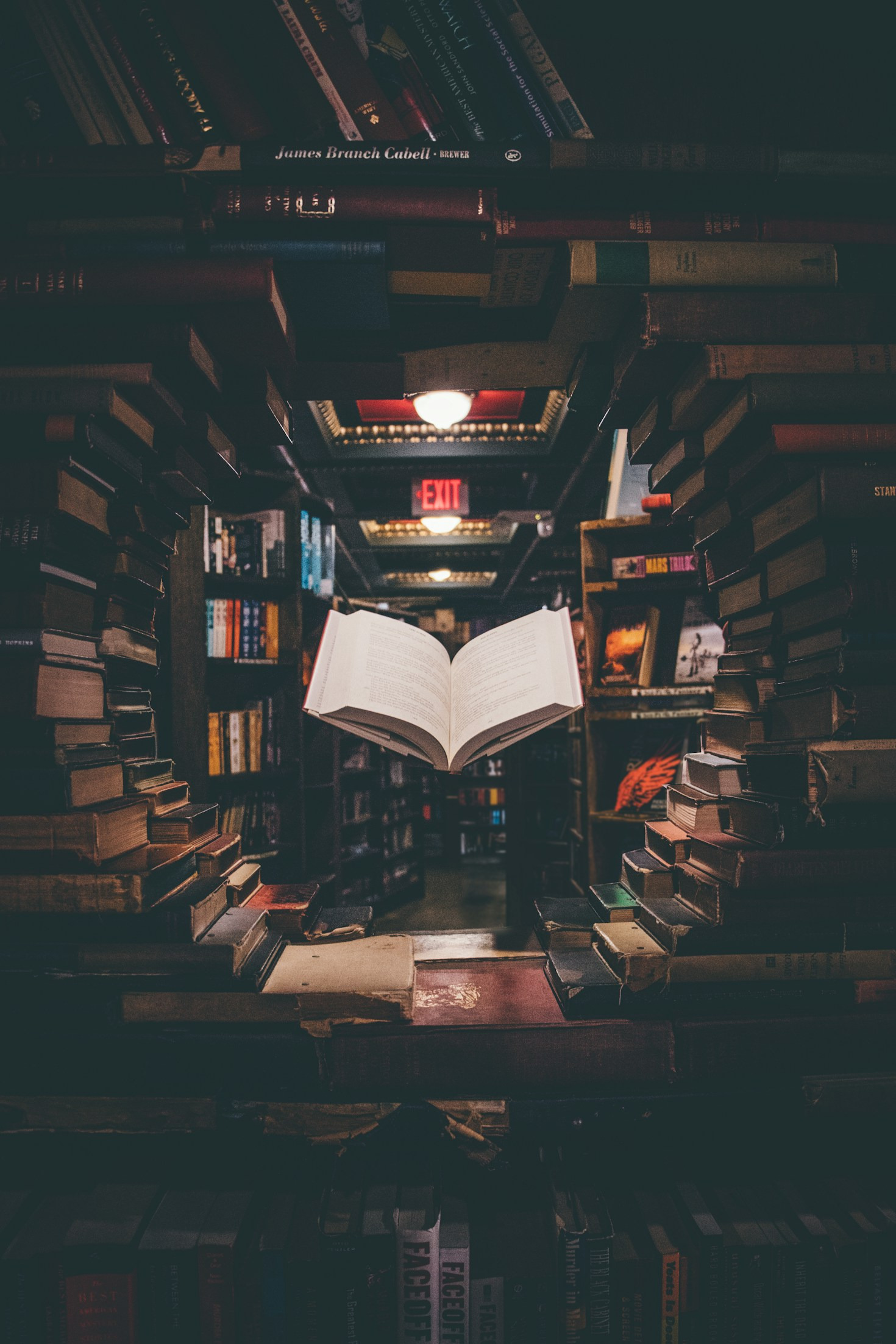 Exploring the Intersection of Art and History