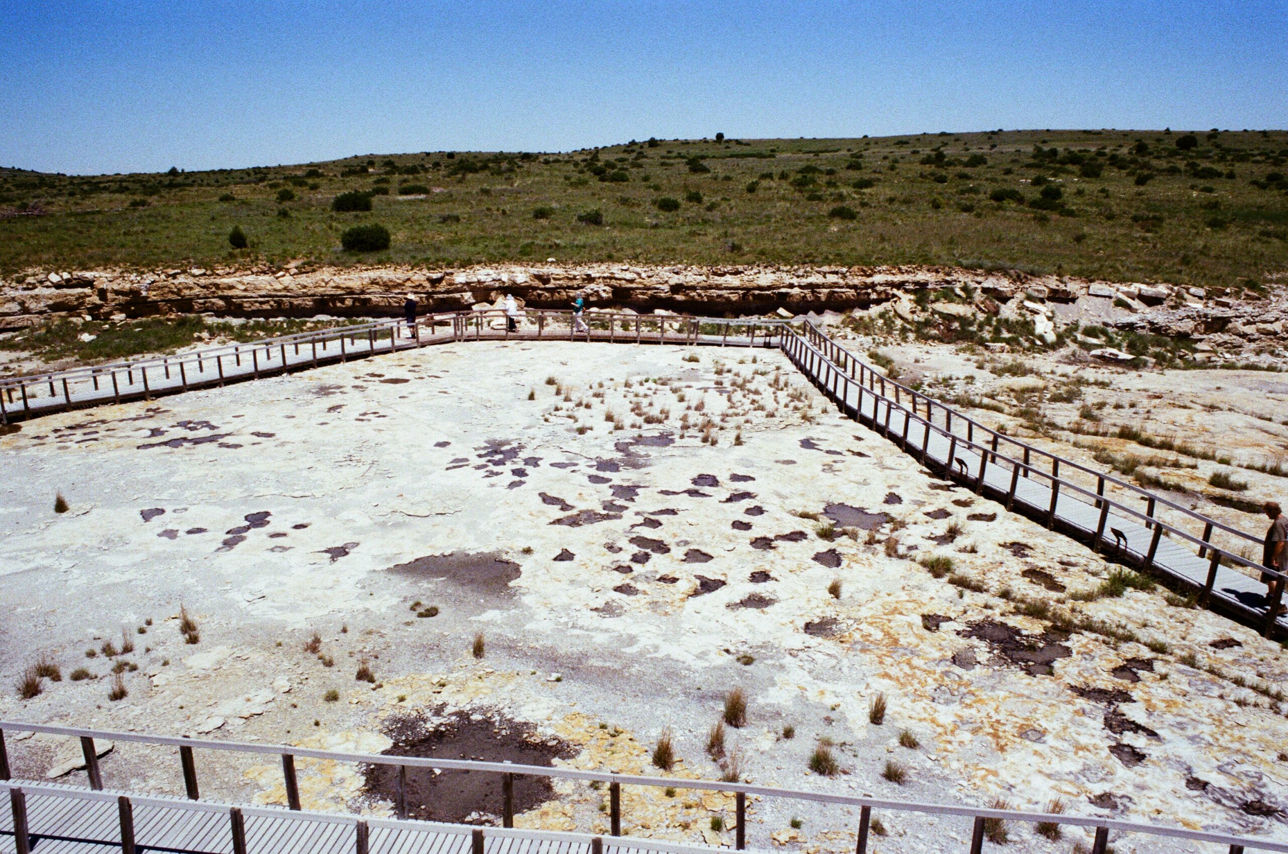 Dinosaur footprints at Clayton Lake State Park, New Mexico, 2016